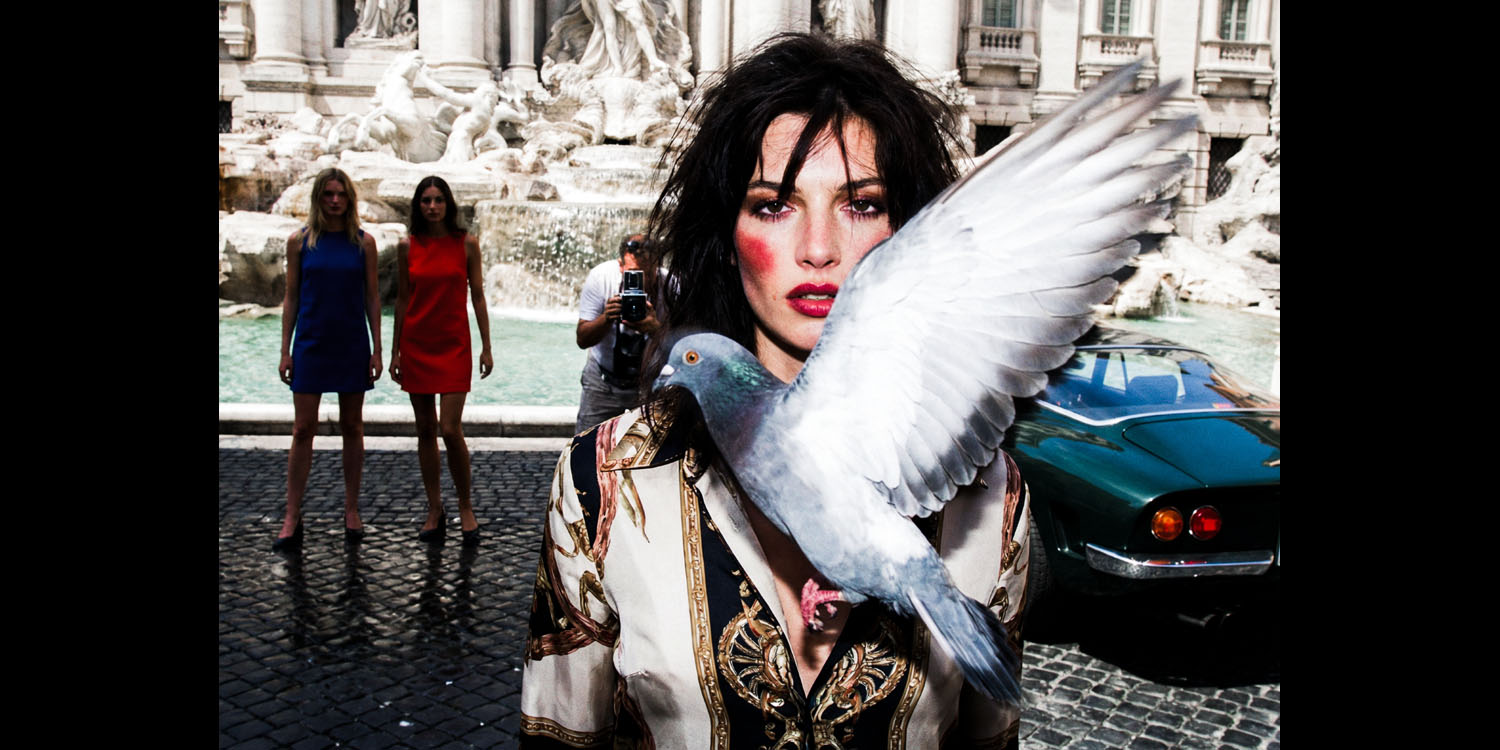 Pics and Pigeons oben